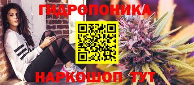 прущие грибы Берёзовский