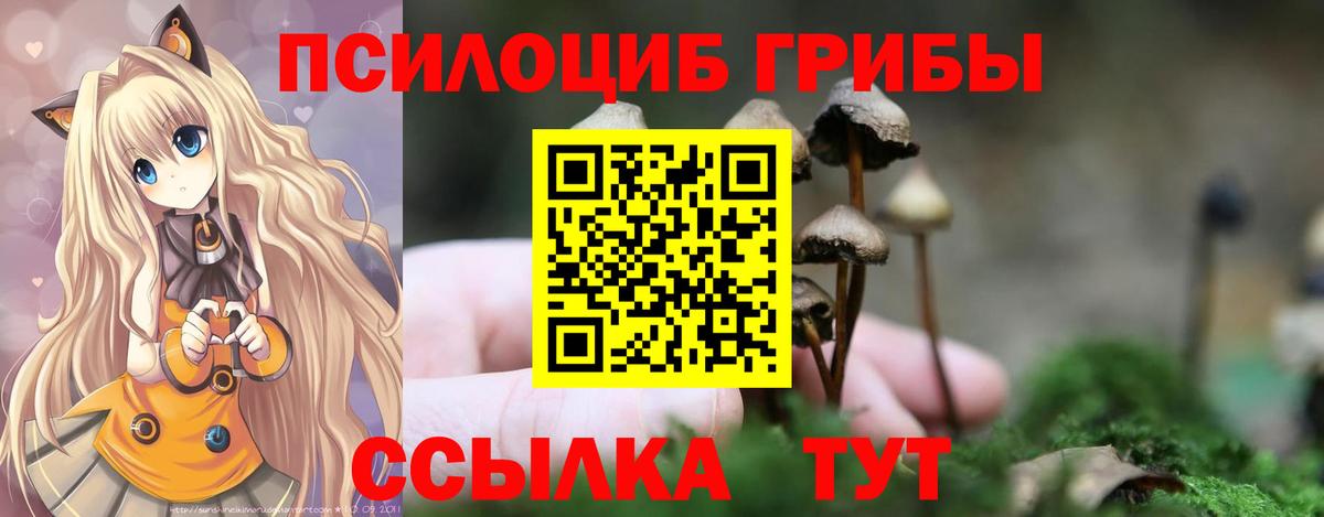 Псилоцибиновые грибы Psilocybe  Вход с VPN  Дзержинск 